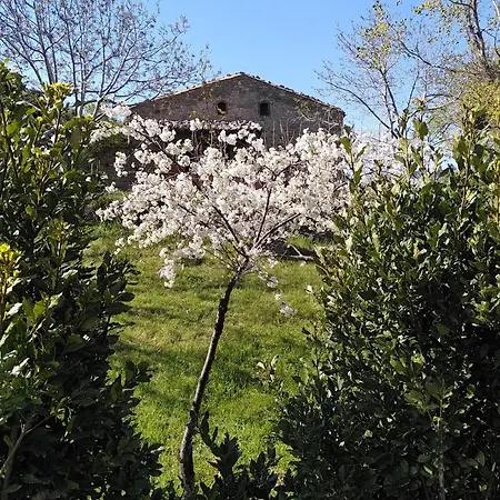 Casa Delle Volpi *